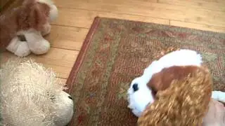 a webkinz dog journey part 2 (new pack -new life)