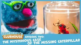 Blueberry’s Clubhouse: The Mysterious Case of the Missing Caterpillar