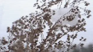 KSENIASERAYA: fashion video