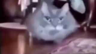 телевизор тутутутутутуттутутутутут