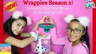 Wrapples Season 2 Valentine Mail from Moose for me and my BFF