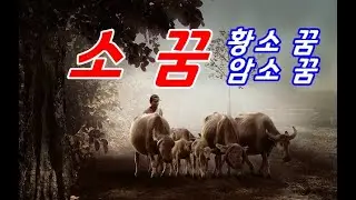 소꿈의 의미, 소가 나오는 꿈 상황별 꿈해몽