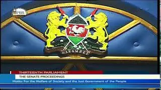 The Senate Plenary, Tuesday 13th June 2023. Afternoon Session.