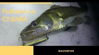 СУДАК РАЗДАЕТ !!! | РЫБАЛКА на СУДАКА ночью |