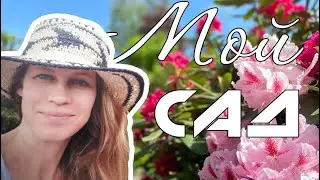 Мой сад🌷/подарок для подписчиков🍭/условия розыгрыша😉