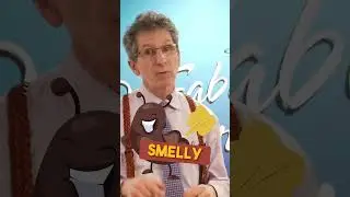 How To Pick The Best Protein Source For YOU- Dr. DeFabio