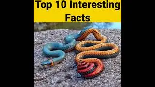 Fact #2