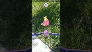 How to feed your Pokemon in Pokemon go / Cómo alimentar a tu Pokémon en Pokémon go.