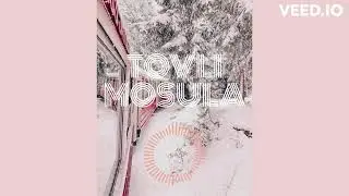 Giga Papaskiri - Tovli Mosula (Original Mix)