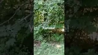 Сегодня лучше чем вчера!