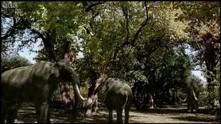 Mammoths In La Brea | Ice Age Death Trap | BBC