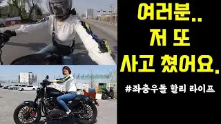 제발 사고 좀 치지마..(할리라이프브이로그,할리계의 김여사님)