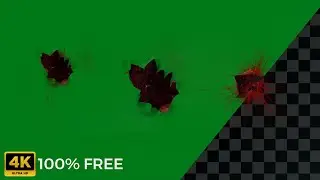 Free Green Screen Blood | Blood Hit Stock footages