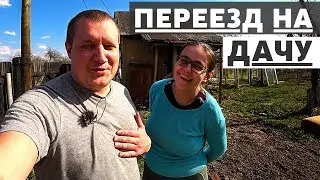 Переехали жить на дачу, побег из города