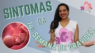 Os Segredos da 14ª Semana de Gestação