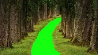Nature Scenery | Green screen Video | Green Screen Effects | VFX Animation
