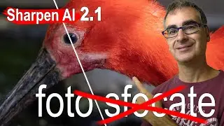 Migliorare le Foto Sfocate o Mosse non è mai stato così FACILE: Sharpen AI 2.1