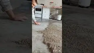 ТРУДНОСТИ ЖИЗНИ