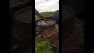 11 ноября 2023 г.