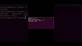 How to know content of any directory in Linux | 