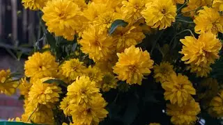 Мой день