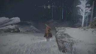 THE BEST WAY TO FARM RUNES ON ELDEN RING (end game)