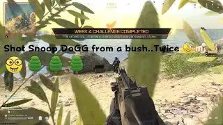 Bush Camping 🤓🌳🤓🌳