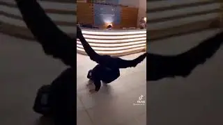 MORGENSHTERN ДВИГАЕТСЯ В РИТМЕ ТАНЦА😅🔥😍