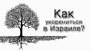 Как 