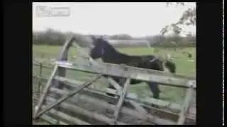 подборка разних неудач