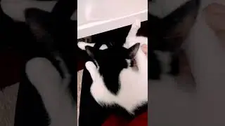 Попу мыть попу мыть нужно каждый день