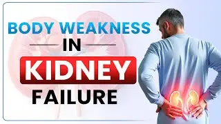 Is Body WEAKNESS a Silent Sign of Kidney Damage? | Chronic Kidney Disease and Fatigue
