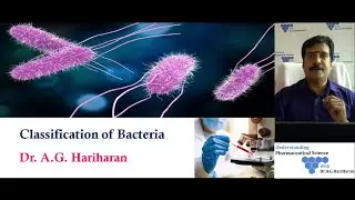 Classification of Bacteria
