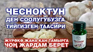 ЧЕСНОКТУН ДЕН СООЛУГУБУЗГА ТИЙГИЗГЕН ТААСИРИ...