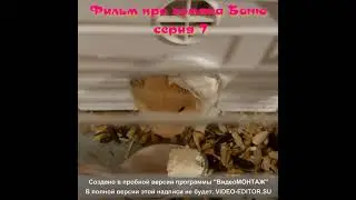 Фильм про хомяка 7 серия 