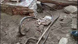 Разобрали полы и обнаружили не пойми что. Родители вернулись в Белгород.Перевезли животных.