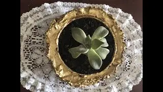 Hazlo En 5 - Como Hacer Tarro | Macetero De Cemento o Concreto Para Plantas | DIY |