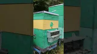 Пасека Медовый Крым, июнь 2023г
