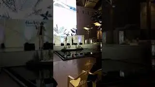 Представление в аэропорту Кореи.