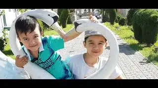 Боланг ширин. Ажоиб кушик🥰🥰💃