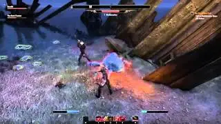 TES Online Гильдия Бойцов 2