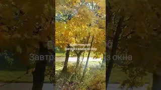 Прекрасное субботнее утро в Санкт-Петербурге. 21 октября 2023г.
