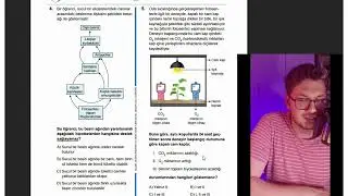 LGS Fen Bilgisi Çıkmış Soru #5  - Fotosentez