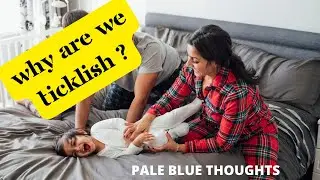 What Makes Humans Ticklish? | Pale Blue Thoughts
