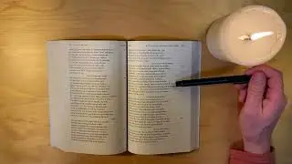 The Aeneid: Book 11 (Robert Fagles Translation)
