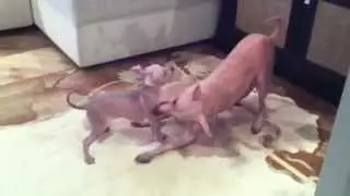 Ксоло мама и ксоло деть:) Любовь!