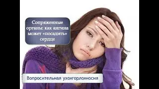 Сопряжённые органы: как ангина может 