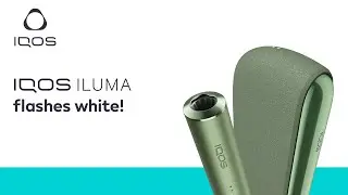 What does the white flashing light on my IQOS ILUMA mean? | IQOS UK