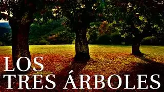 THE THREE TREES | Reflections on Life | Parable | 