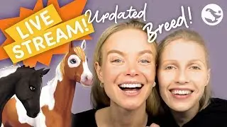 LIVE STREAM - UPDATED BREED : Chincoteague 🐴💗😍